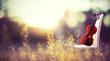 image-big-13
